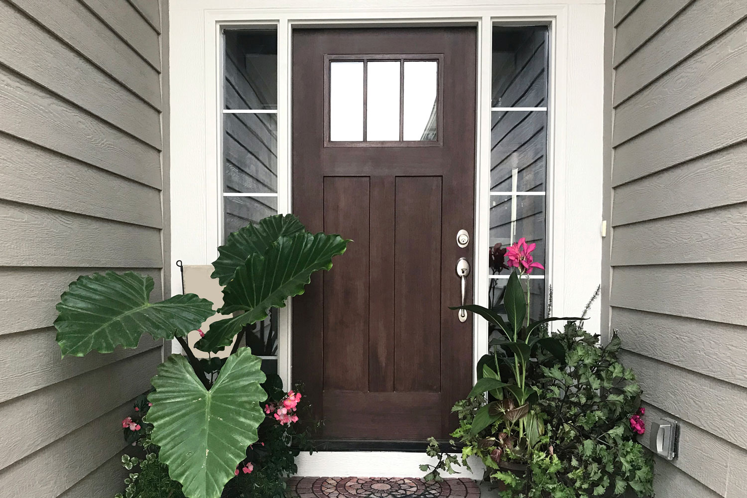 A brown fron door with white painted trims and plants on the sides for decoration