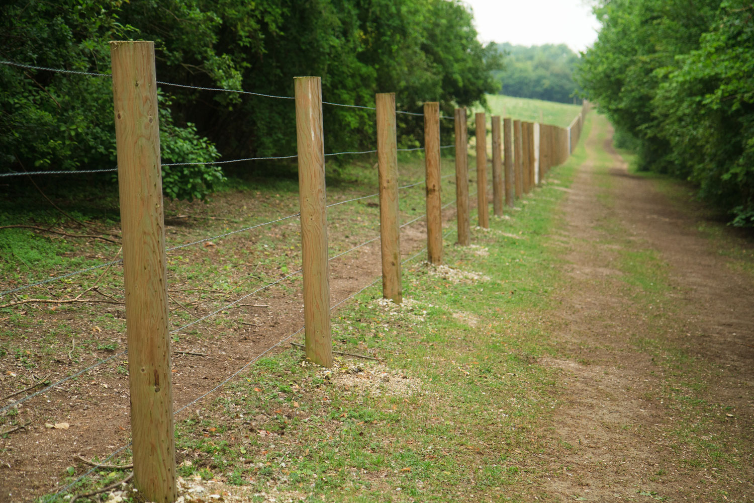 A long line of fence posts with barb wires