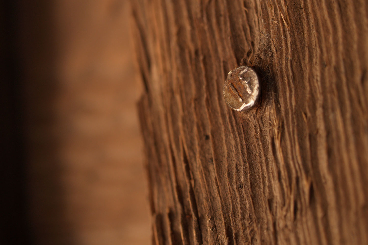 A nail on a piece of wood