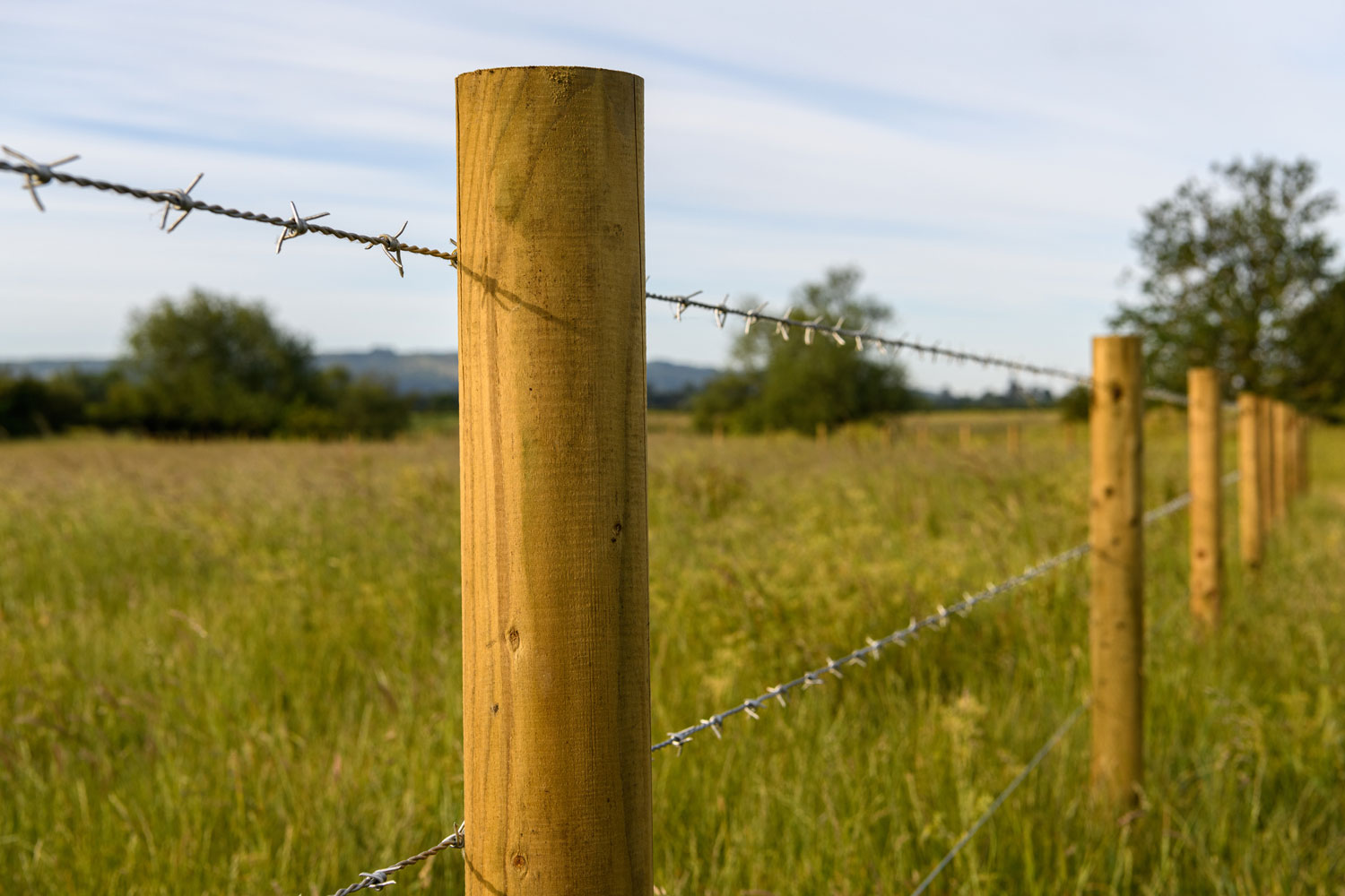 Barb wire fence posts for a ranch