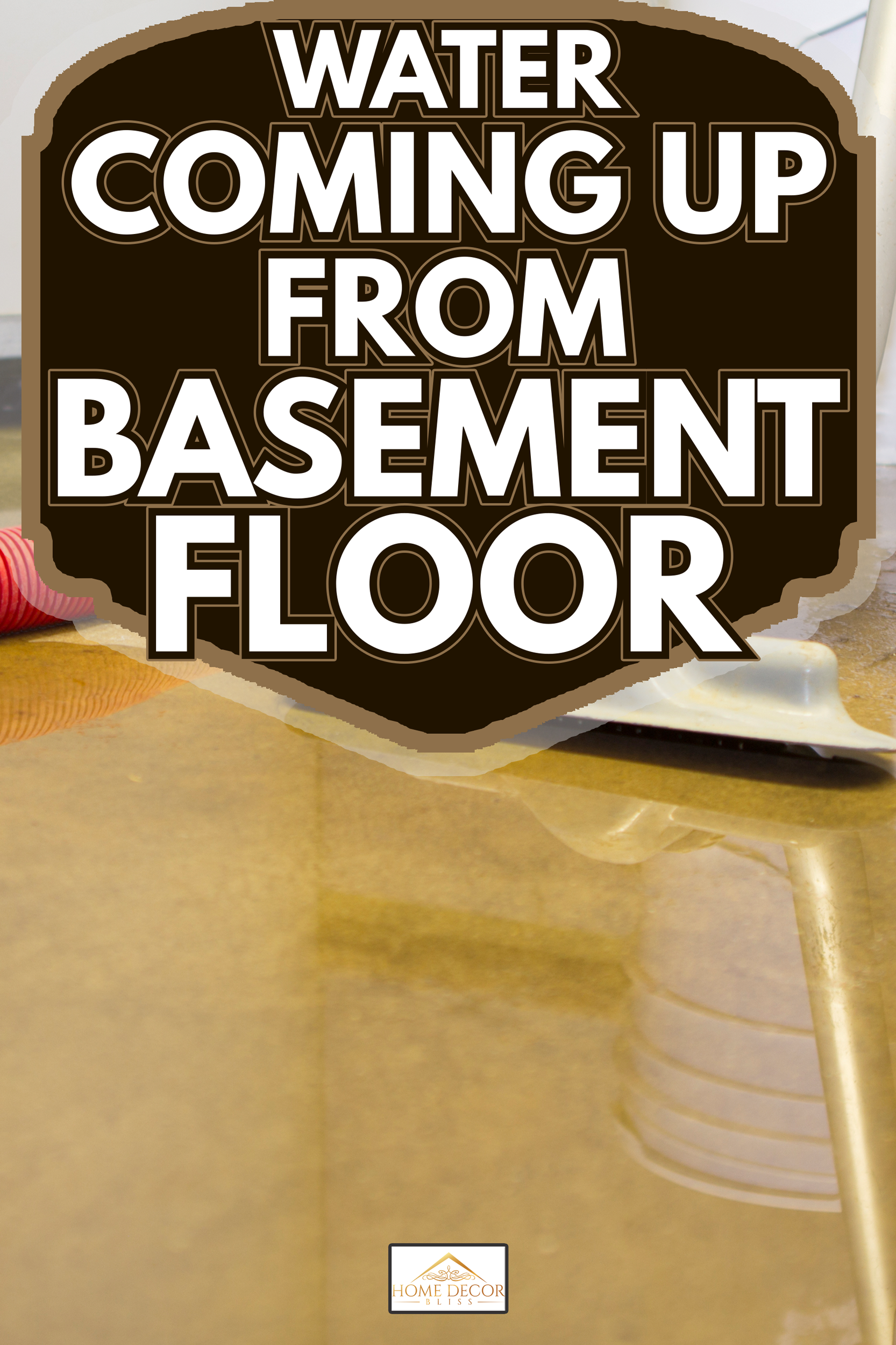 Cleaning up a blooded basement - Water Coming Up From Basement Floor—What To Do
