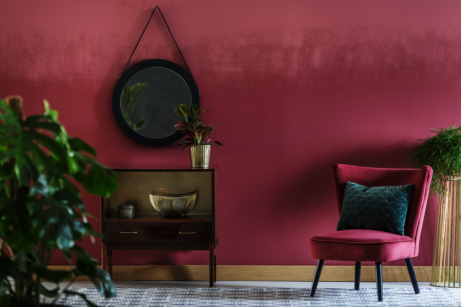 Close-up of a plant in sitting room interior with red armchair, retro cupboard, round mirror and dark red wall