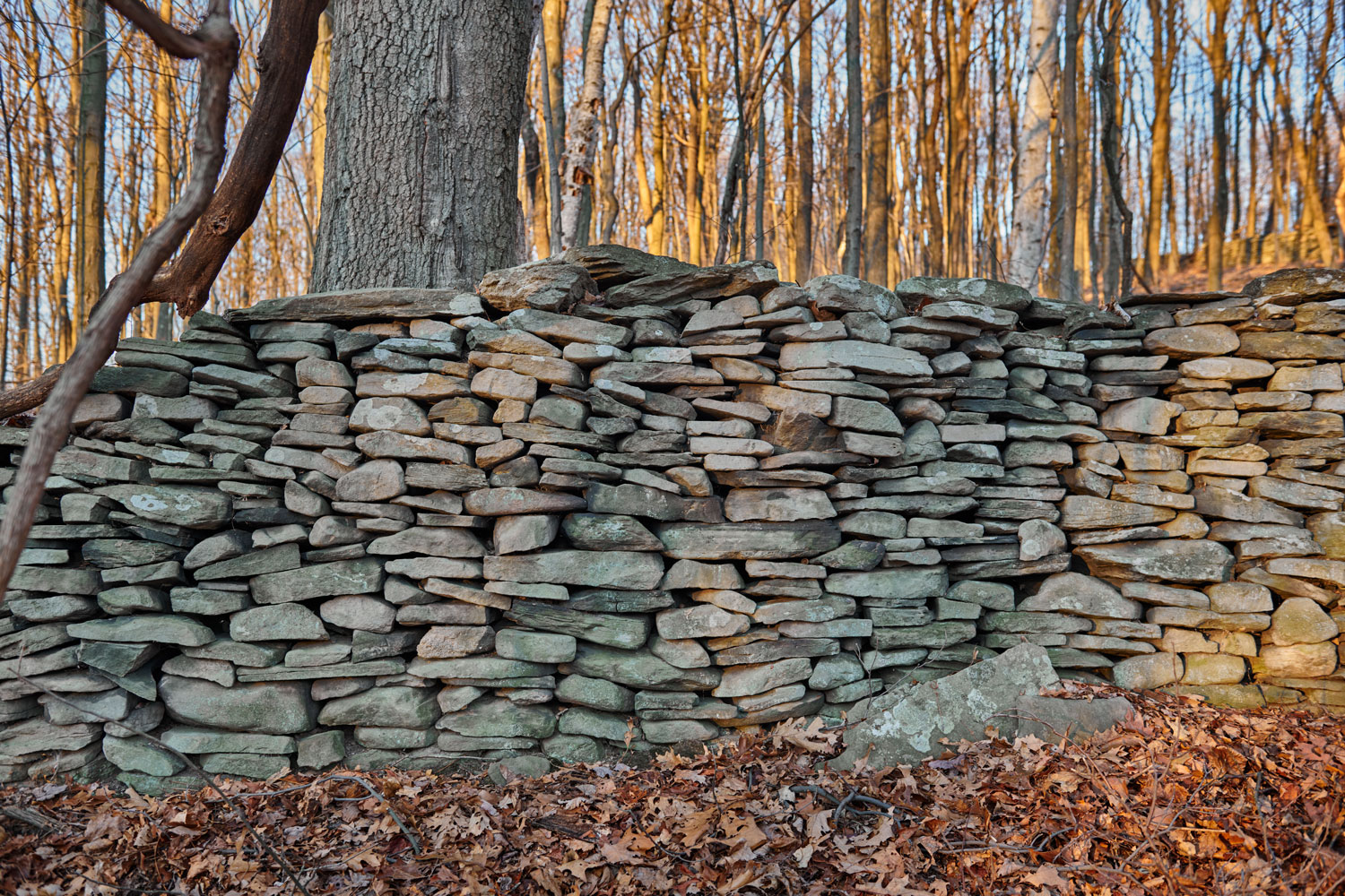 Flat rocks converted to a short manmade wall