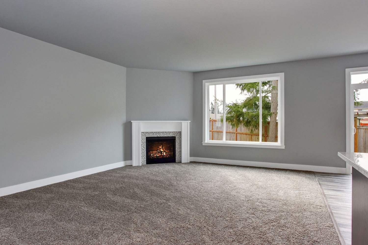 Gray carpeted flooring, light gray walls and white trims