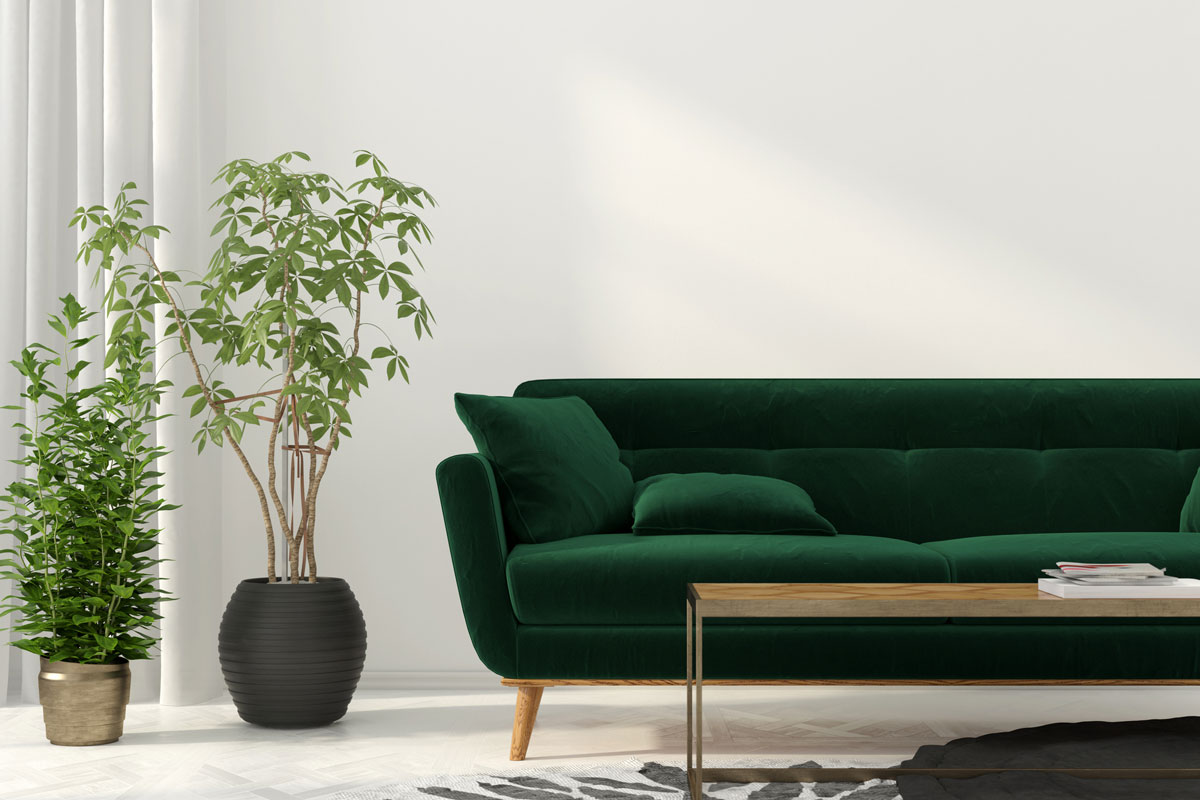 Interior of the living room with green sofa