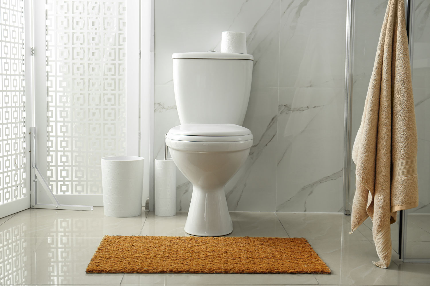 Marble tiled bathroom with a toilet and a rug on the middle