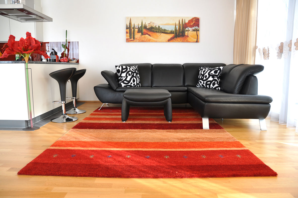 Modern living room with red carpet and black sofa with wood type floor