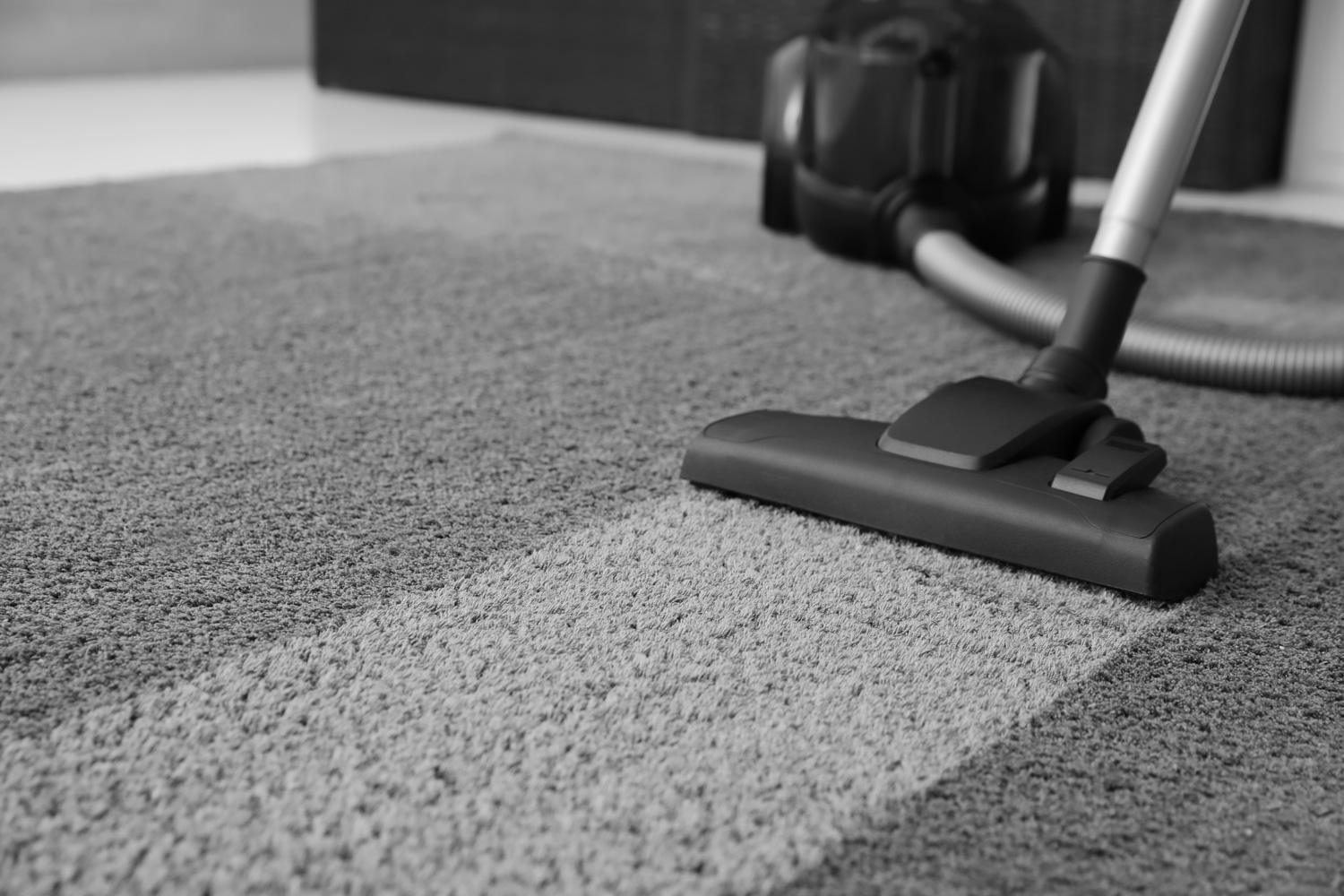 Modern vacuum cleaner on carpet