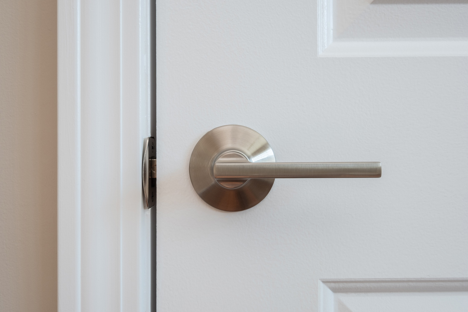 Photograph of a modern styled nickel closet door lever