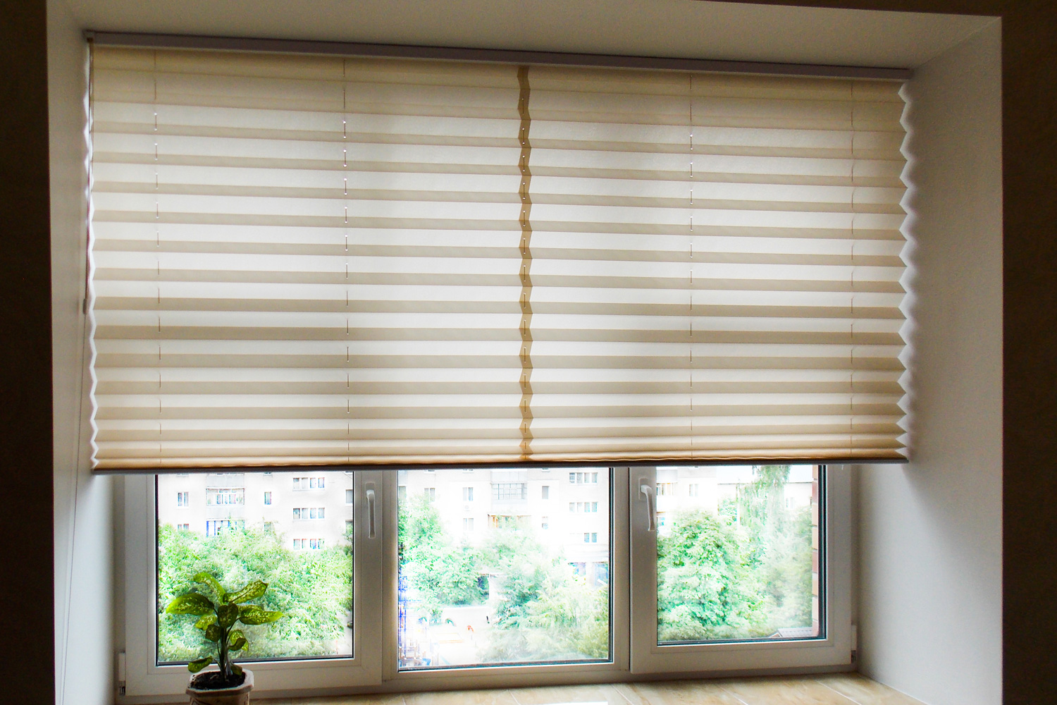 Pleated blinds XL Coulisse, beige color, with 50mm fold closeup in the window opening in the interior.