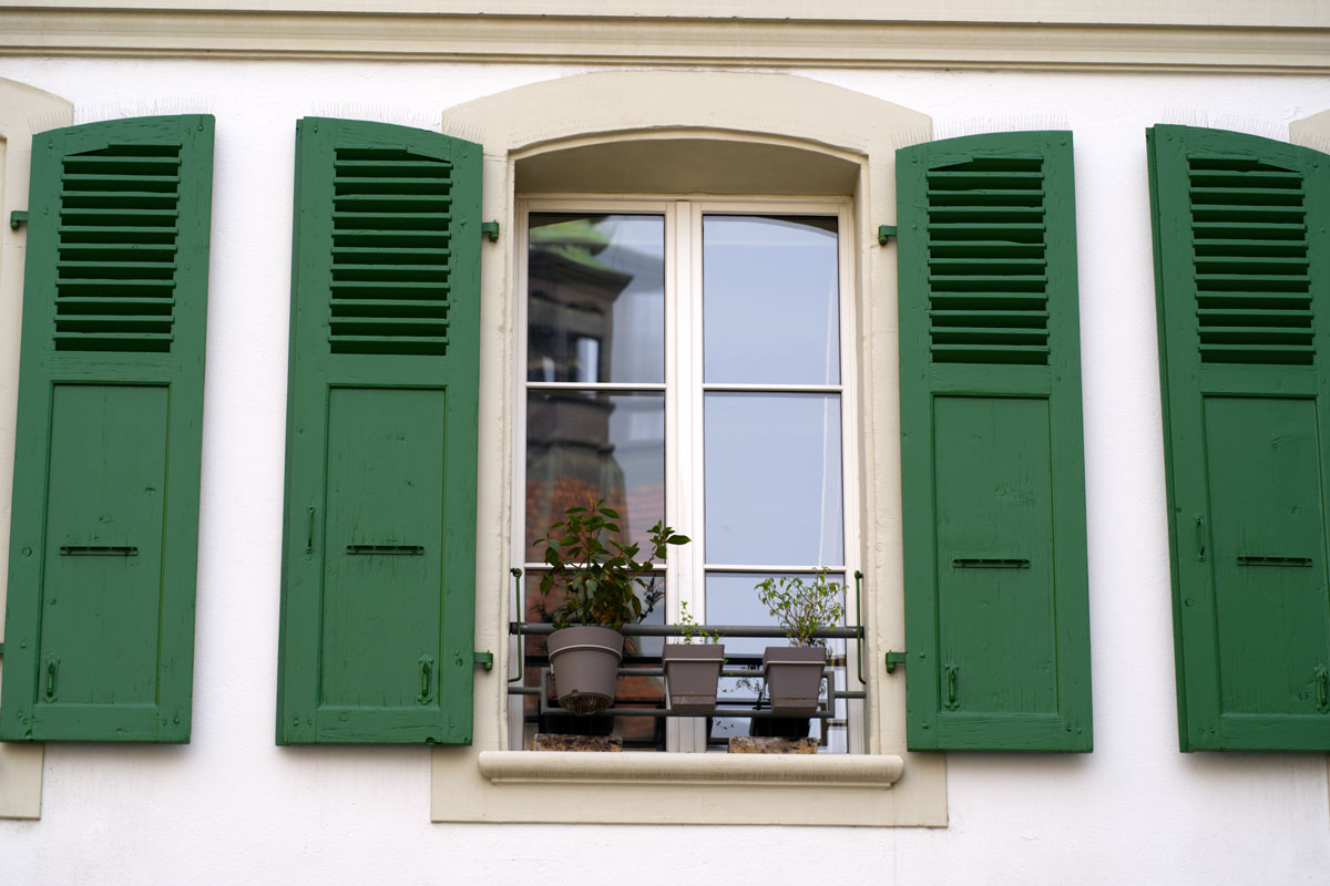 Window with plants and dark green wooden shutters