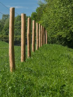 Wooden fence posts of a huge acre farm, How Much Space Between Fence Posts