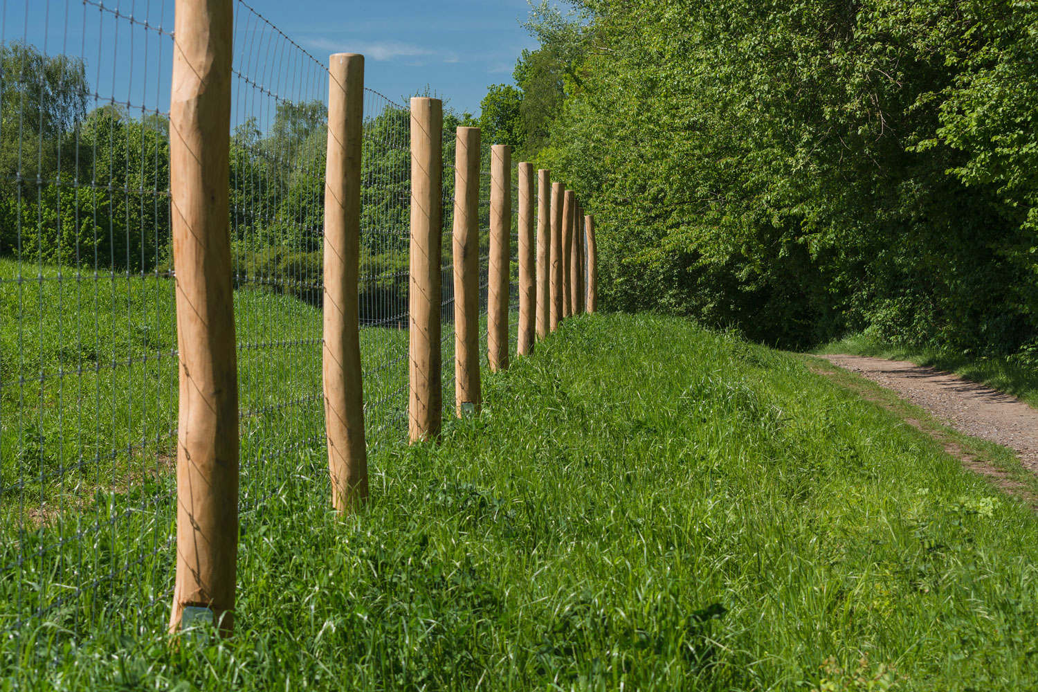 Wooden fence posts of a huge acre farm