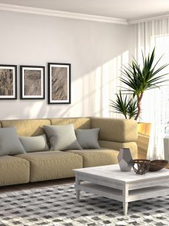 A dark colored sofa with gray throw pillows with plants and a white coffee table, 11 10X12 Living Room Layouts To Explore
