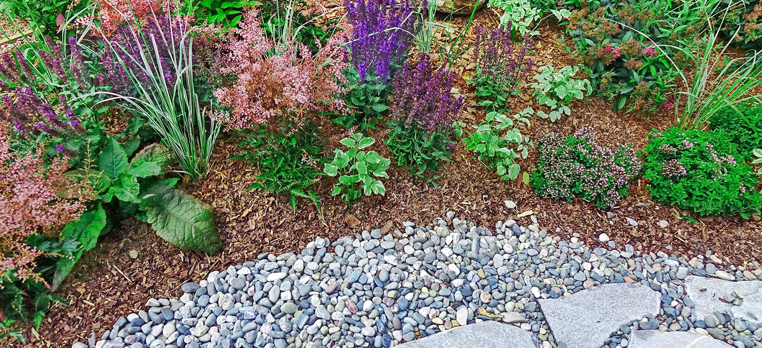 Backyard garden modern designed landscaping