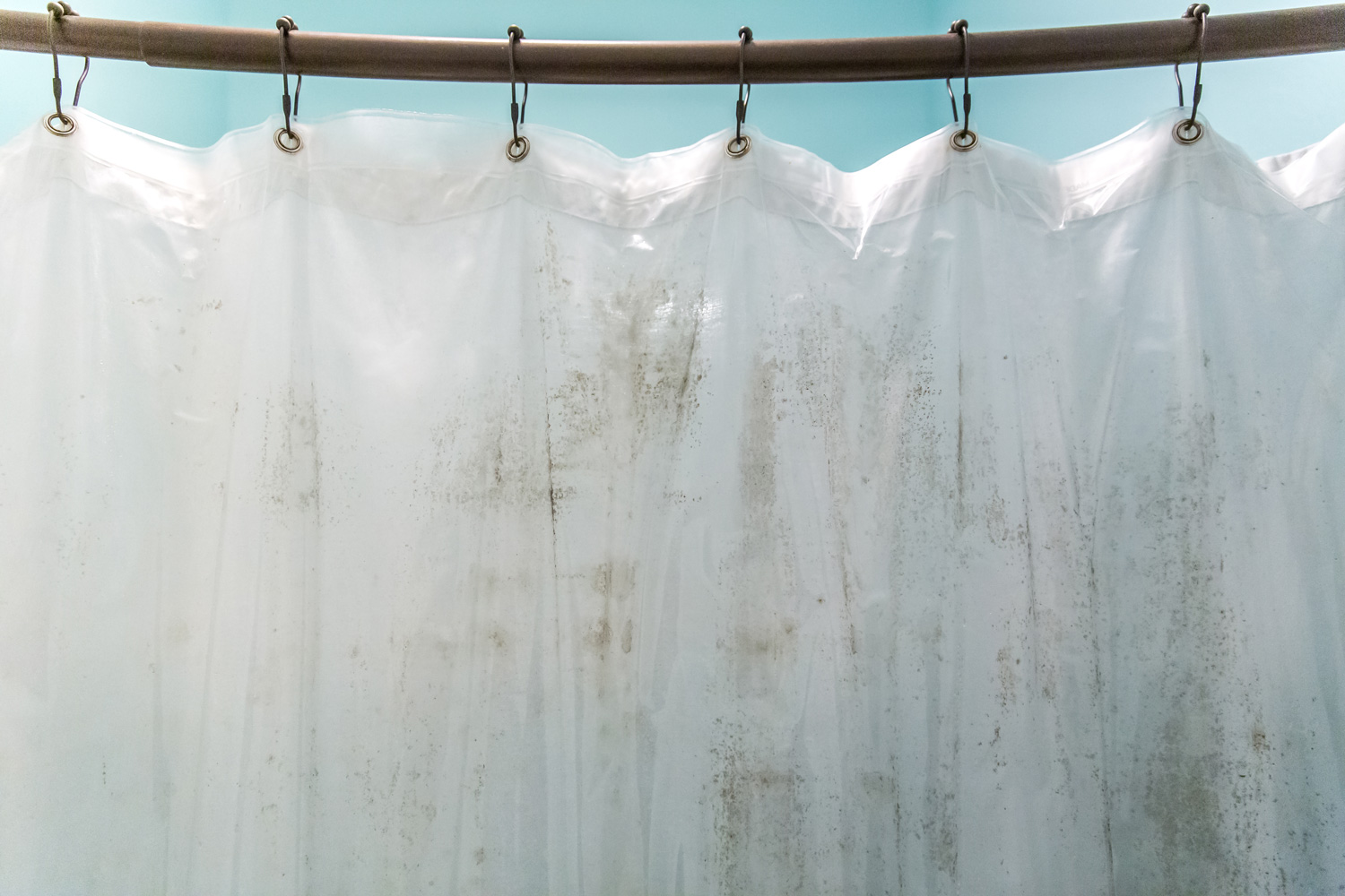 Dark brown mildew mold on plastic interior shower curtain in a light aqua bathroom inside the bathtub and shower area