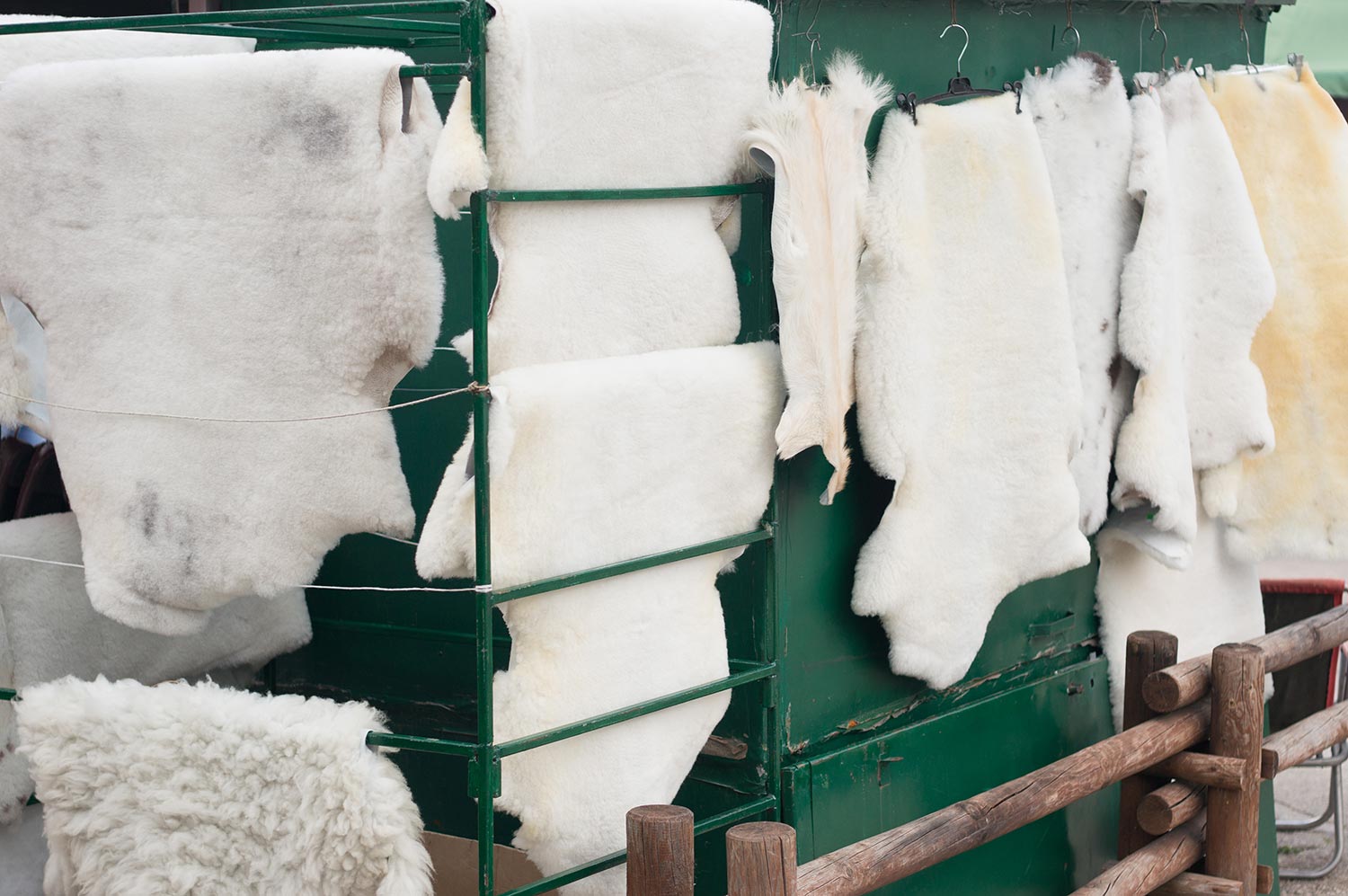 Drying of animal fur after skinning