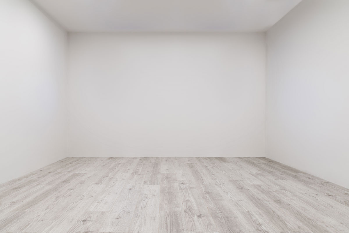 Empty room with whitewashed floating laminate flooring and newly painted white wall