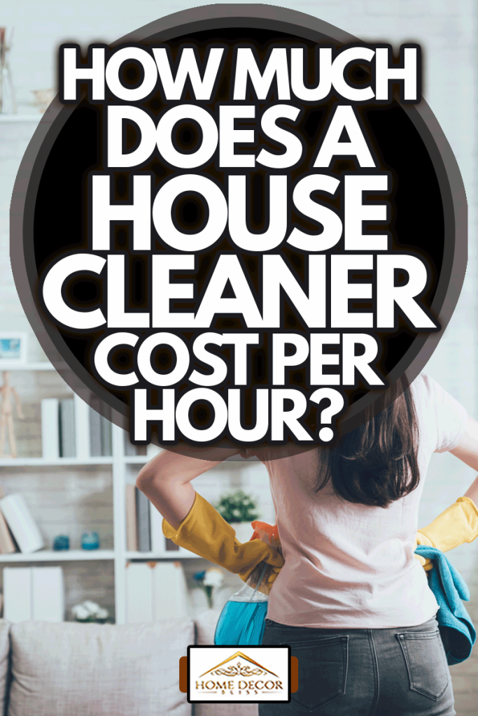 back view of woman house cleaner looking at the clean living room after she tidied up, How Much Does A House Cleaner Cost Per Hour?
