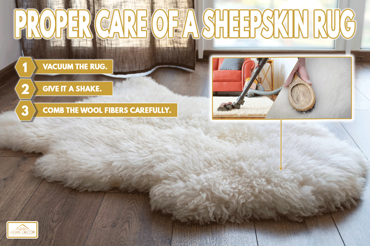 Sheep skin on the floor of a room, How To Make A Sheepskin Rug Soft Again