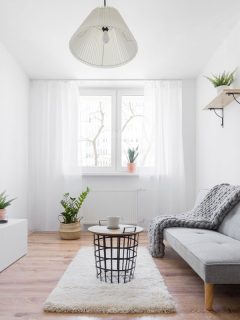 Interior of an elegant and narrow white living room, white sofa and a small white TV accent chest, White VS Colored Walls: Which Is Better For Your Living Room?