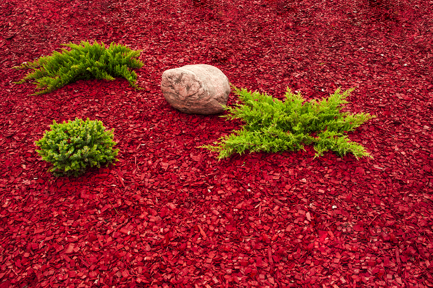 Landscape with stones and red sawdust