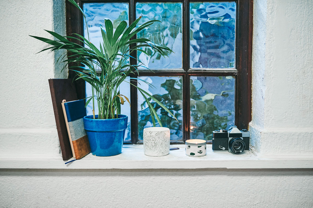 Ledge with pot of plants and a old vintage camera ang books on window