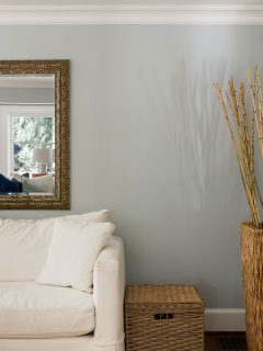 Living room interior with white couch and basket with a bamboo plant and a big mirror on the wall, How To Hang A Heavy Mirror On Drywall