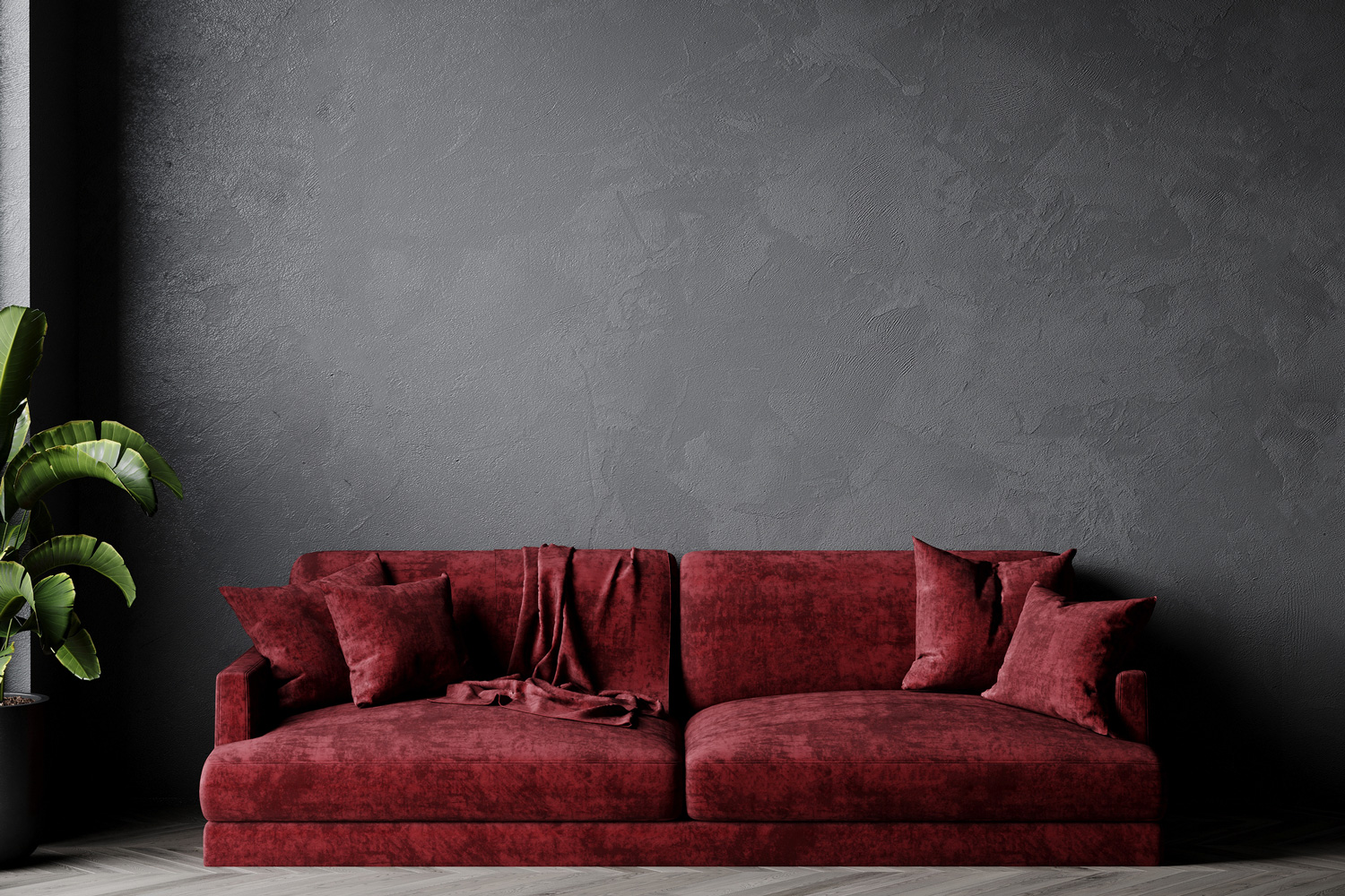 Modern dark room with red burgundy sofa. Empty mockup wall in black plaster stucco - microsement or concrete. luxury interior design.