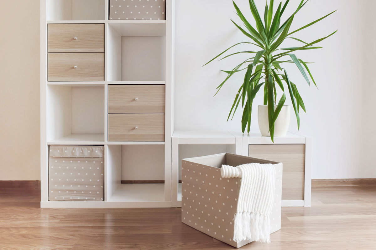 Modern furniture, white shelves