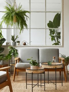 A modern scandinavian living room with grey sofa, armchair, a lot of plants, 11 Unique Living Rooms With Plants [Design Inspiration!]