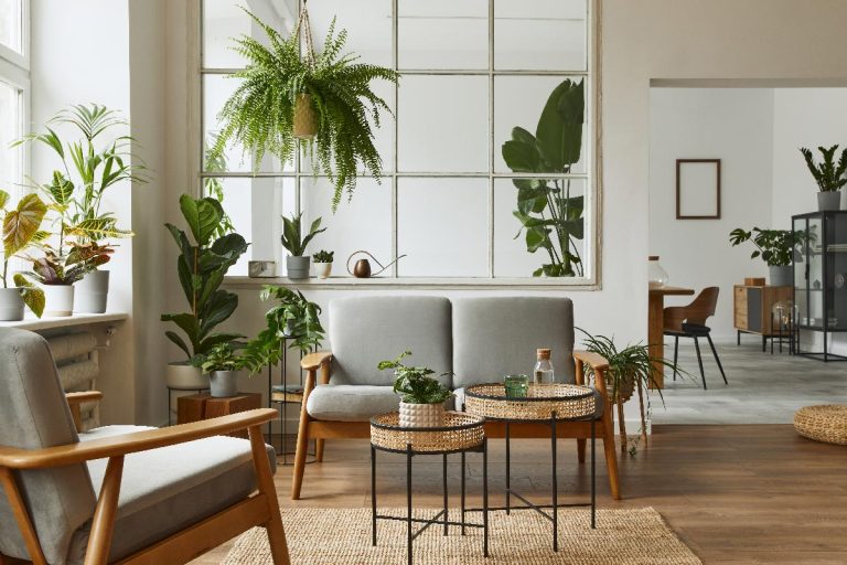 A modern scandinavian living room with grey sofa, armchair, a lot of plants, 11 Unique Living Rooms With Plants [Design Inspiration!]