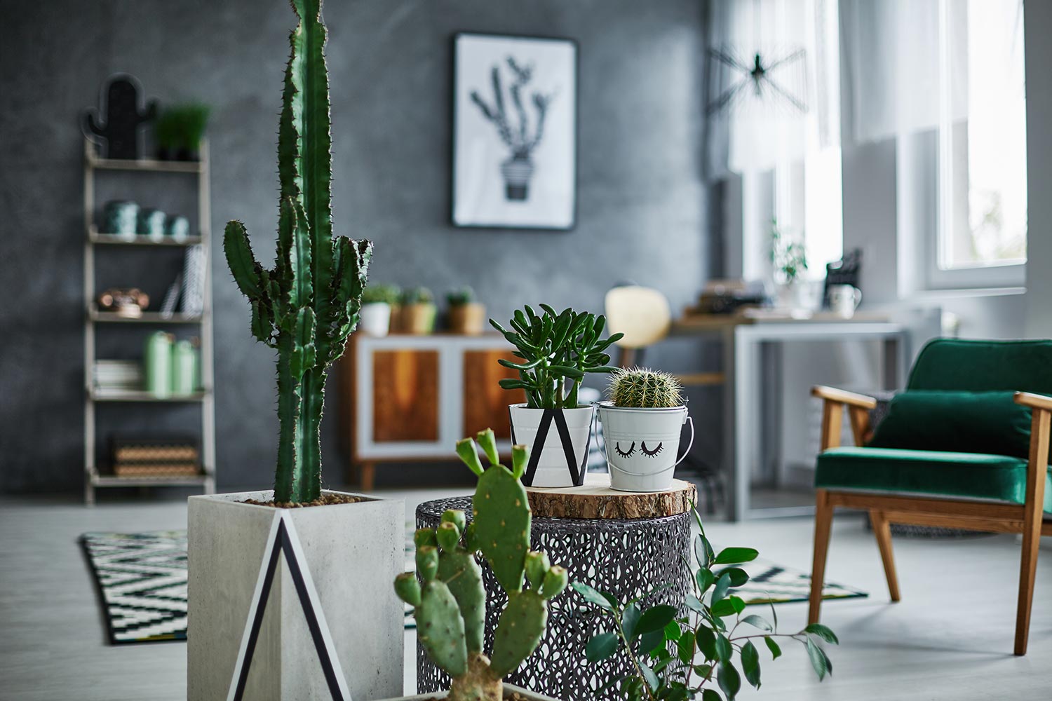 Decorate a Spring Mantel With Succulents