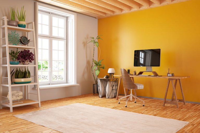 Orange Room with Workspace and Green Plants, What Color Matches Orange Walls?
