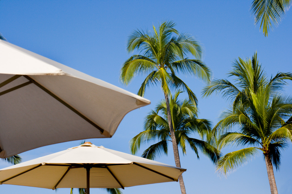 Patio Umbrella under palm trees at a resort hotel