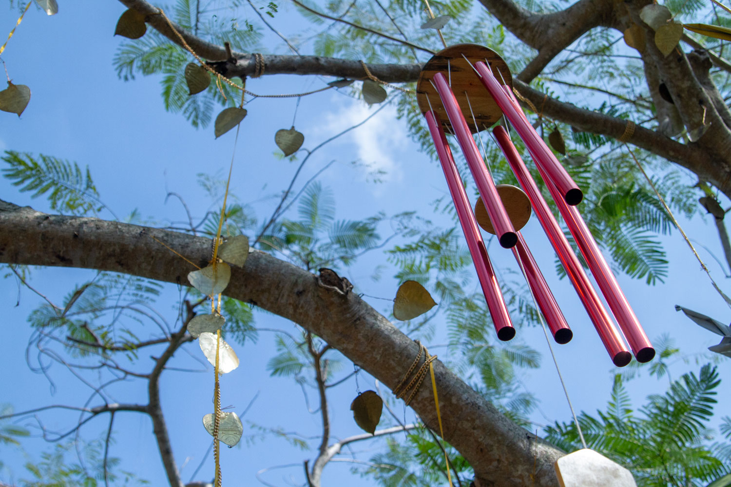 Red chimes hanged on a tree branch