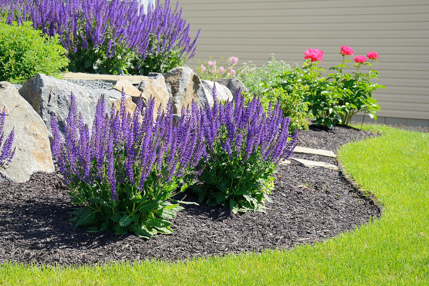 Salvia flowers and rock retaining wall at a residential home