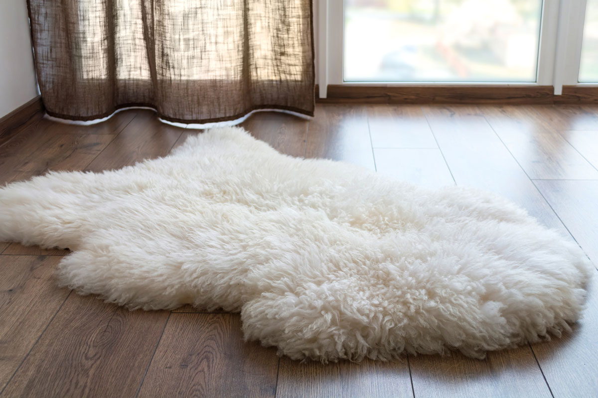 Sheep skin on the laminate floor in the room, near the window