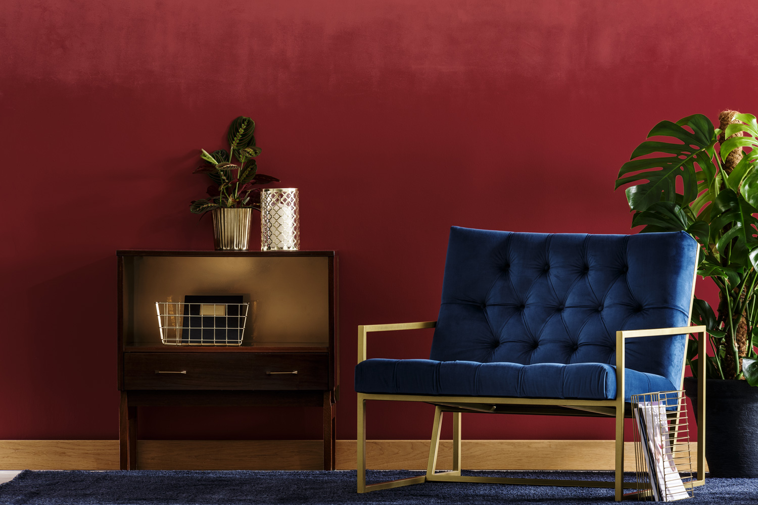 Small, wooden cupboard with a plant and navy blue armchair standing in living room interior with Monstera Deliciosa