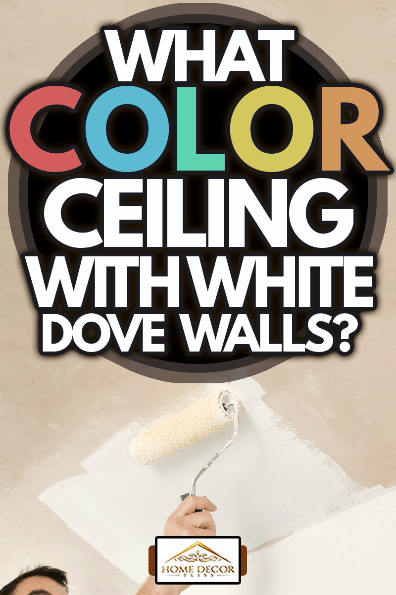 Man painting a newly plastered ceiling white, using a roller, What Color Ceiling With White Dove Walls?