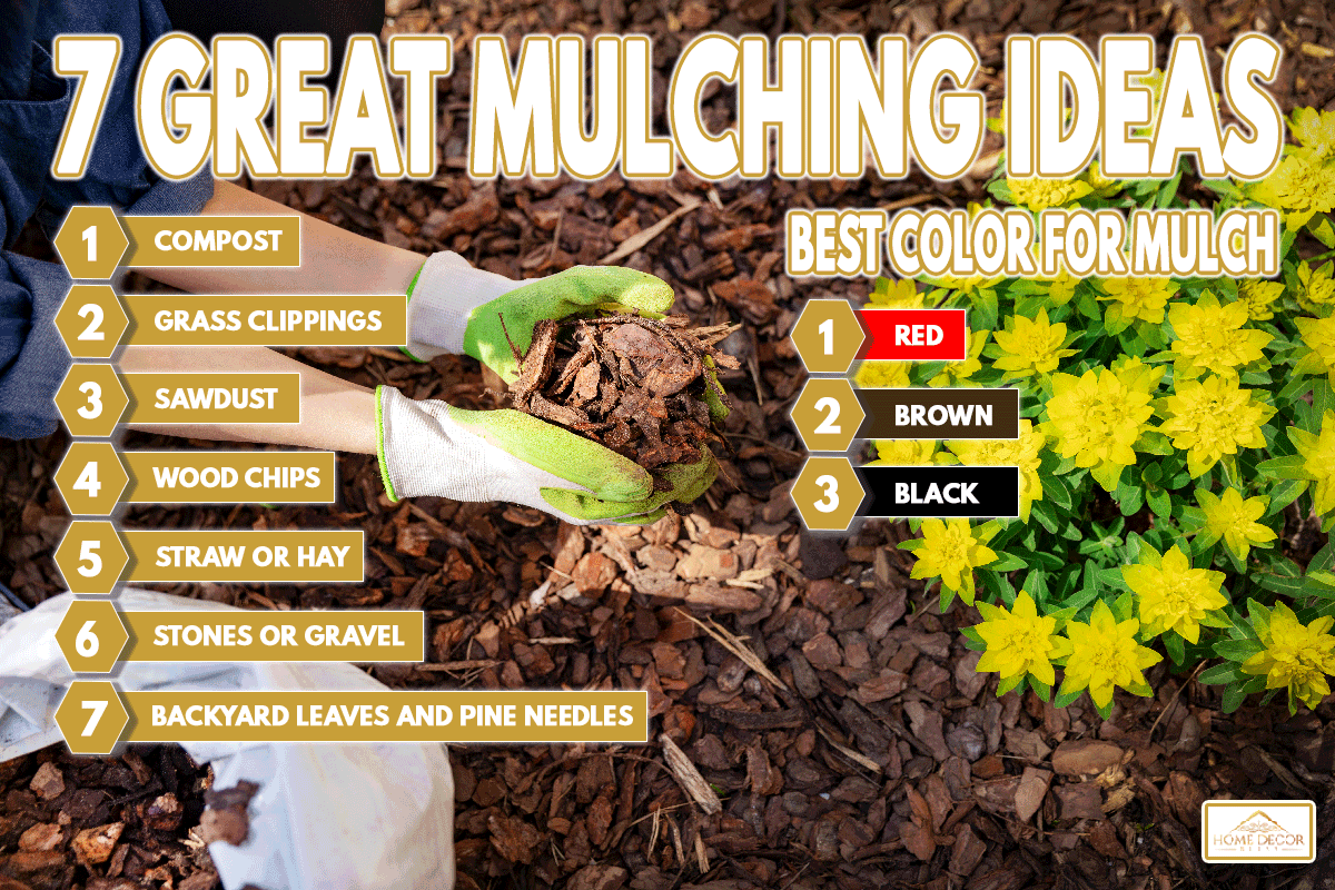 Gardener placing pine tree bark mulch in the flower bed, What Is The Best Color For Mulch? [7 Ideas!]