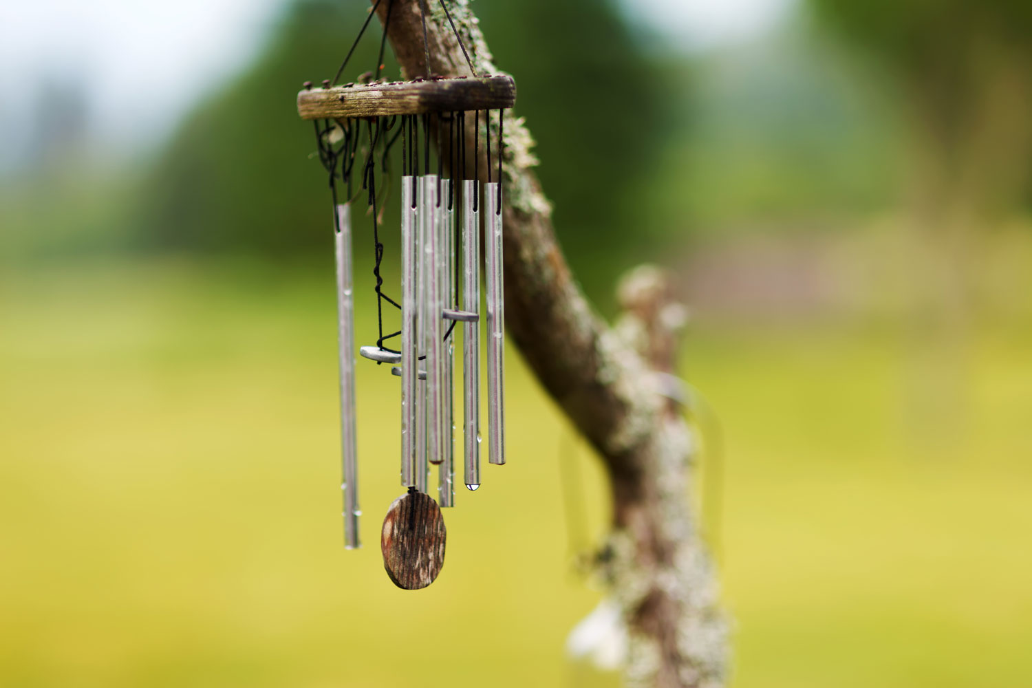 Wind chimes hanged on a tree branch