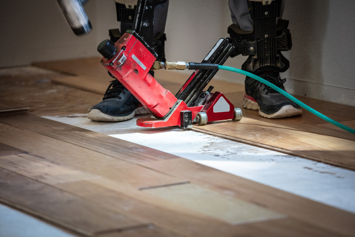 Wood floor installing with hydraulic nail gun in home.