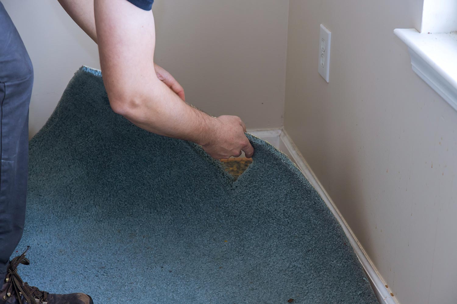 Worker with removing old carpet in room