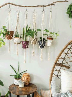 handmade cotton macrame plant hangers are hanging from a wood branch