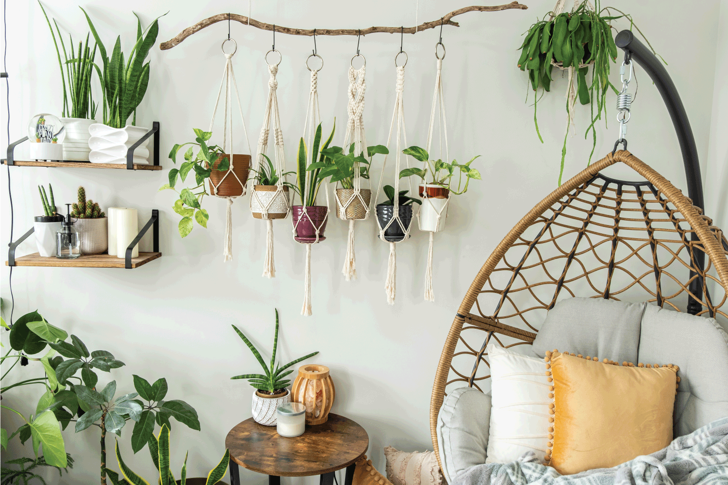 handmade cotton macrame plant hangers are hanging from a wood branch