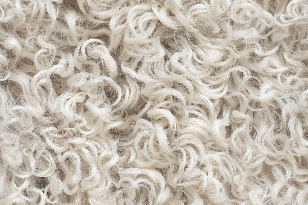 white curly wool sheepskin fur