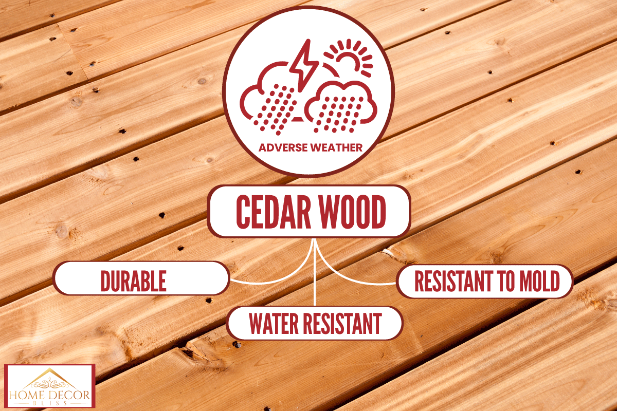 Cedar Timber Deck, What Kind Of Lumber Is Good For Rainy Weather?