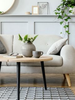 A light white colored sofa inside a light gray painted living room with plants on the back and on the coffee table, Benjamin Moore Gray Owl: 9 Complementary Colors
