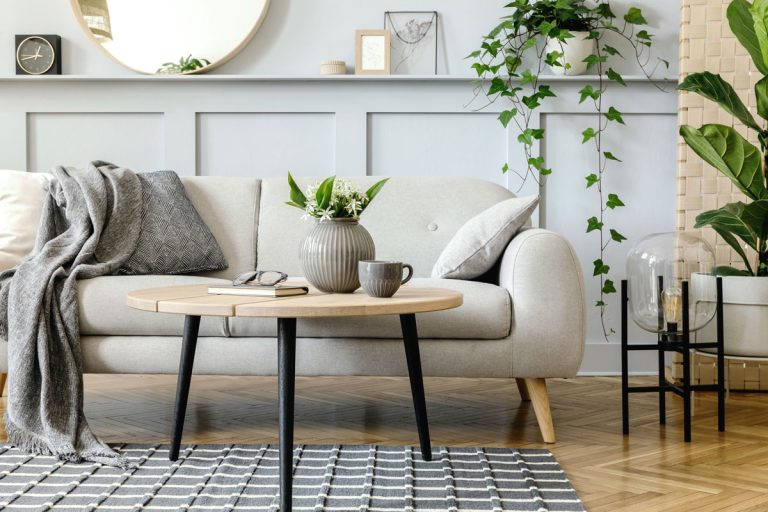 A light white colored sofa inside a light gray painted living room with plants on the back and on the coffee table, Benjamin Moore Gray Owl: 9 Complementary Colors